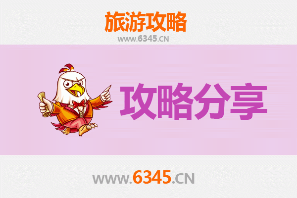 随州广水至湄洲岛旅游攻略：跟团 vs 自由行深度解析